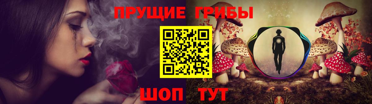 Зерноград  Псилоцибиновые грибы MAGIC MUSHROOMS  Вход с VPN 